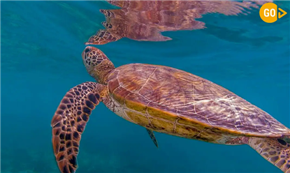 Beach & Coastal Tours